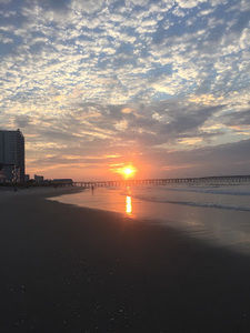 Meet your Posher, Sam